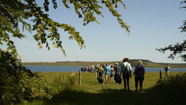 Mennesker vandrer i Nationalpark Thy