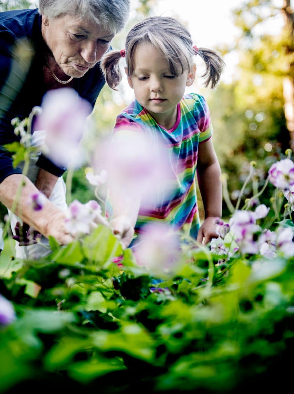 Bedstemor og barnebarn ser på blomster sammen