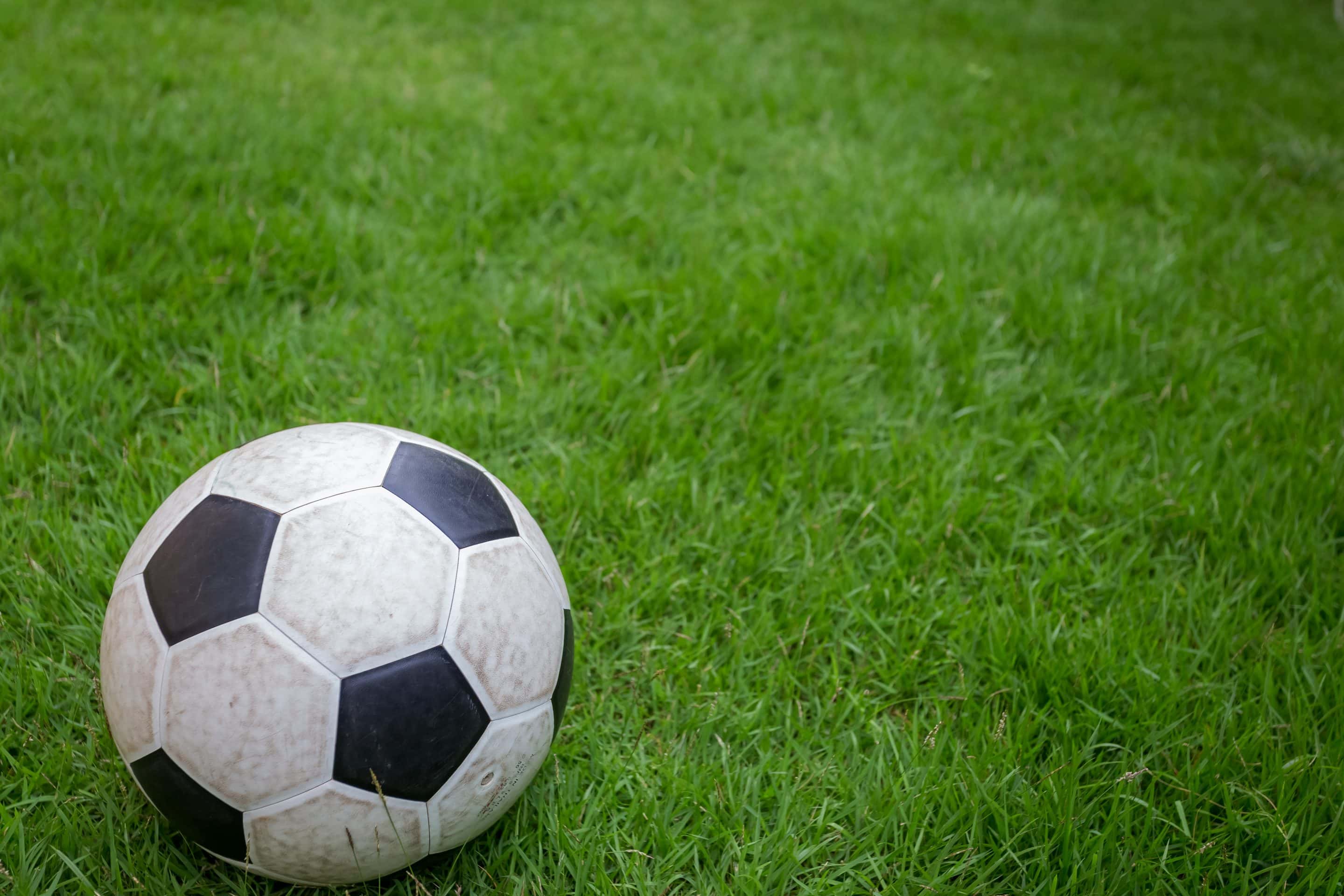 en fodbold på en græsplæne