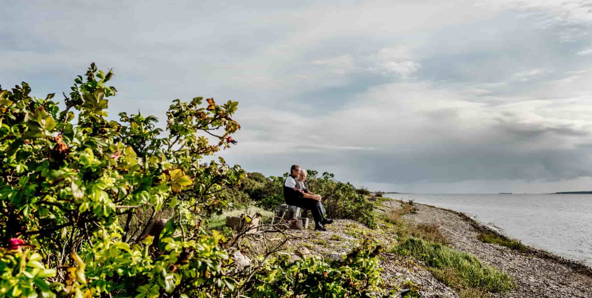 Par sidder ved stranden