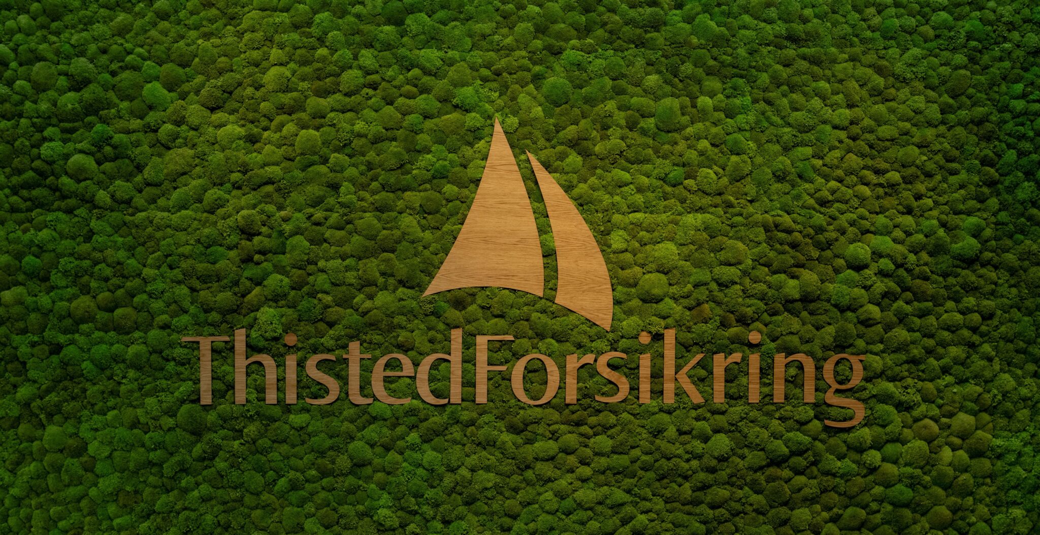 Thisted Forsikring Forsikringer Til Hele Livet thisted-forsikring-forsikringer-til-hele-livet