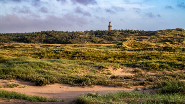 Thisted Forsikring støtter Nationalpark Thy