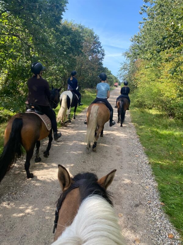 Thisted Forsikring støtter Lem Rideklub