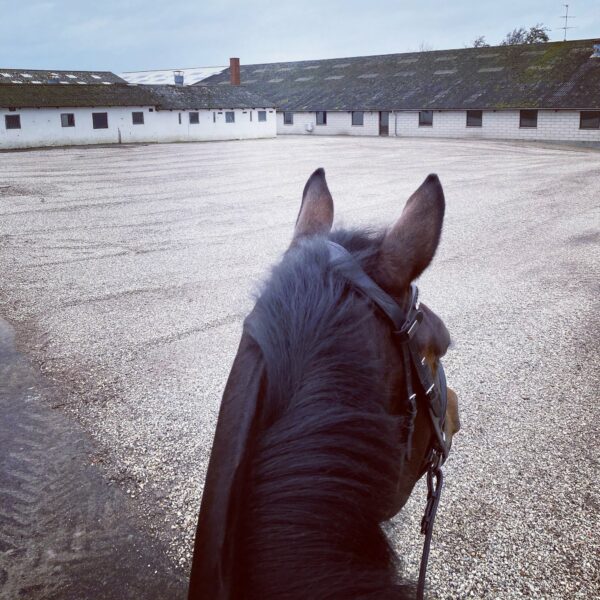 Thisted Forsikring støtter Nordthy Rideklub