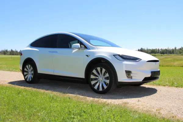 Tesla Model X står på en landevej i solskinsvejr.