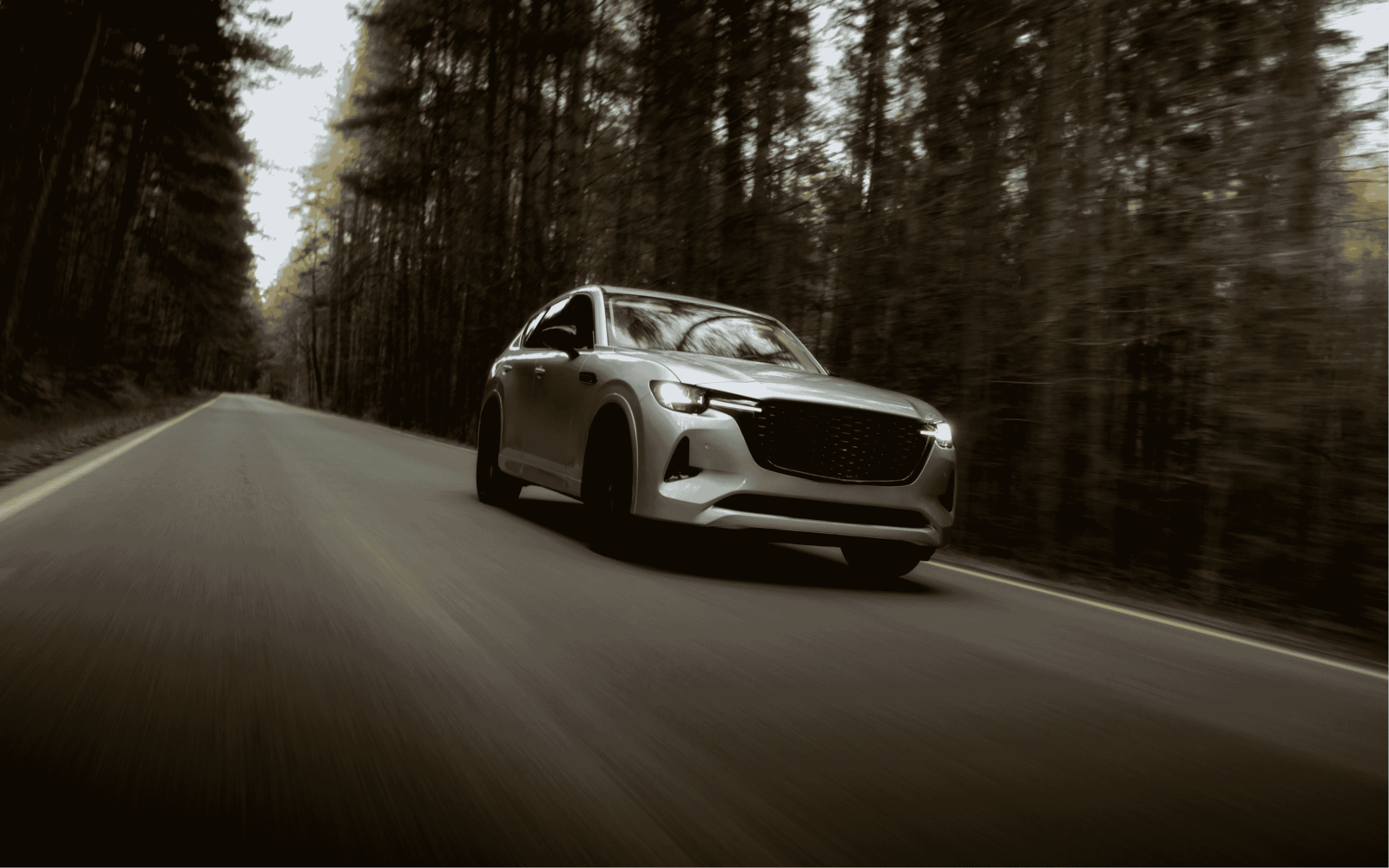 En Mazda kører igennem en skov